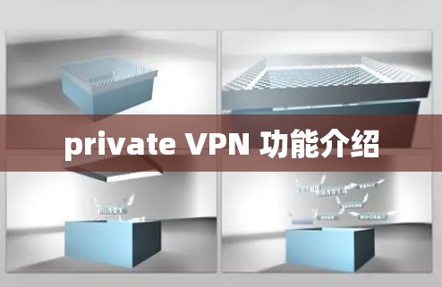 private VPN 功能介绍 private VPN 功能介绍