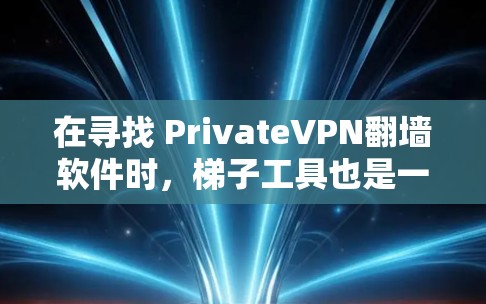 在寻找 PrivateVPN翻墙软件时，<strong>梯子</strong>工具也是一个不错的选择，可以帮助你轻松构建一个安全的VPN连接。以下是一些推荐的<strong>梯子</strong>工具，根据你的需求和预算进行选择
