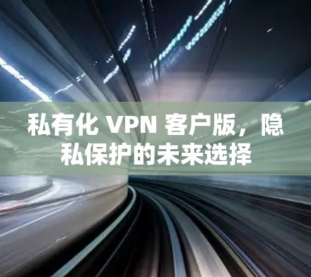 私有化 VPN 客户版,隐私保护的未来选择 私有化 VPN 客户版,隐私保护的未来选择