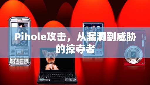 Pihole攻击，从漏洞到威胁的掠夺者