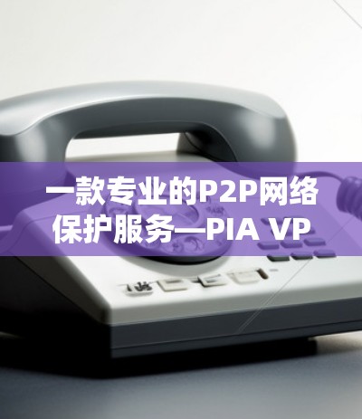 一款专业的P2P网络保护服务—PIA VPN