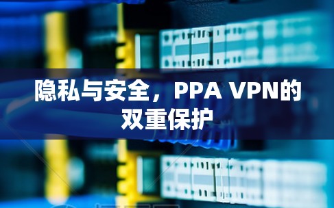 隐私与安全,PPA VPN的双重保护 隐私与安全,PPA VPN的双重保护