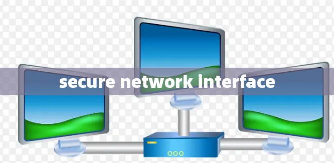 secure network interface