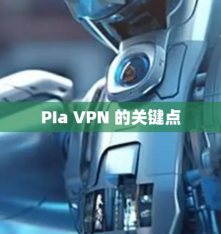 PIa VPN 的关键点 PIa VPN 的关键点