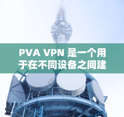 PVA VPN 是一个用于在不同设备之间建立点对点VPN连接的软件。它允许你在手机上连接到电脑或其他设备，从而实现流媒体、视频通话或其他应用的远程访问。以下是下载和使用的步骤