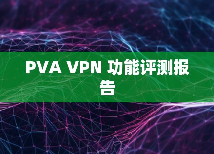 PVA VPN 功能评测报告