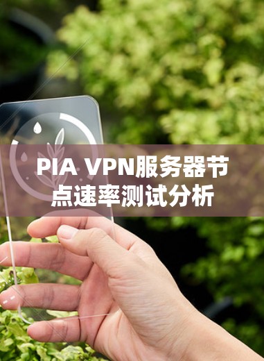 PIA VPN服务器节点速率测试分析