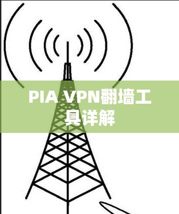 PIA VPN翻墙工具详解
