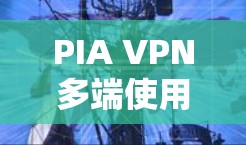 PIA VPN多端使用的技术