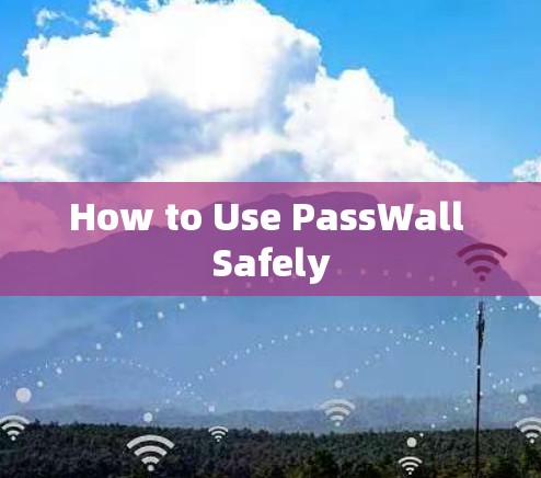 How to Use PassWall Safely