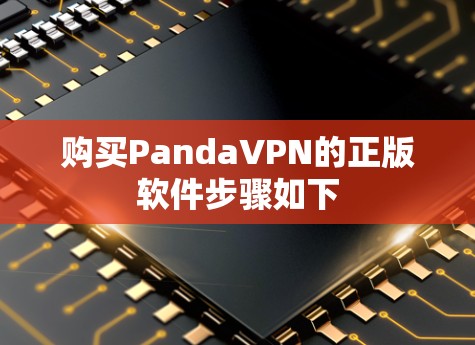 购买PandaVPN的正版软件步骤如下
