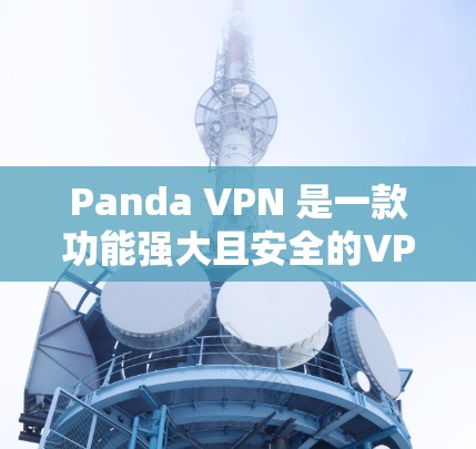 Panda VPN 是一款功能强大且安全的VPN服务，适合个人和企业用户。以下是一些在电脑上使用 Panda VPN 的步骤和注意事项