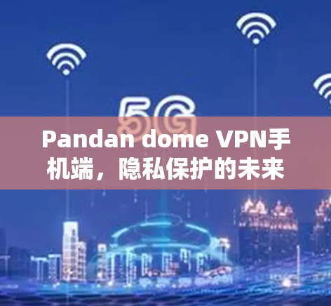 Pandan dome VPN手机端,隐私保护的未来 Pandan dome VPN手机端,隐私保护的未来