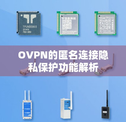 OVPN的匿名连接隐私保护功能解析 OVPN的匿名连接隐私保护功能解析