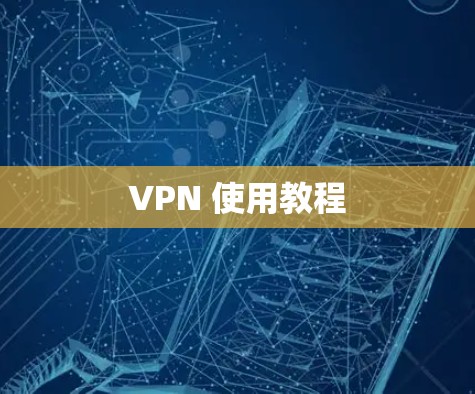 VPN 使用教程