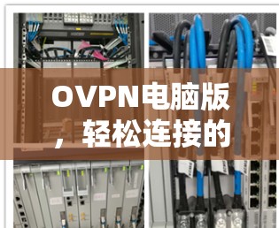 OVPN电脑版,轻松连接的高效网络安全解决方案 OVPN电脑版,轻松连接的高效网络安全解决方案