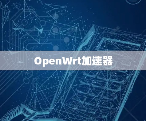 OpenWrt加速器