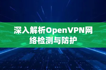 深入解析OpenVPN网络检测与防护