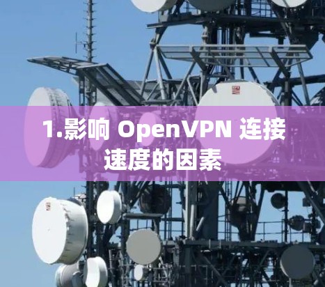 1.影响 OpenVPN 连接速度的因素