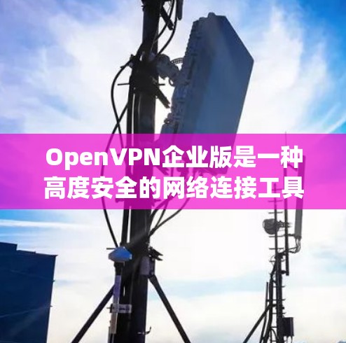OpenVPN企业版是一种高度安全的网络连接工具,用于企业内部的内部连接和外部连接。以下是其账号管理的基本步骤 OpenVPN企业版是一种高度安全的网络连接工具,用于企业内部的内部连接和外部连接。以下是其账号管理的基本步骤