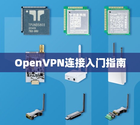 OpenVPN连接入门指南 OpenVPN连接入门指南