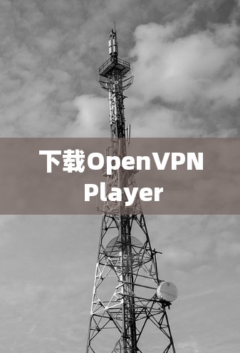 下载OpenVPN Player 下载OpenVPN Player