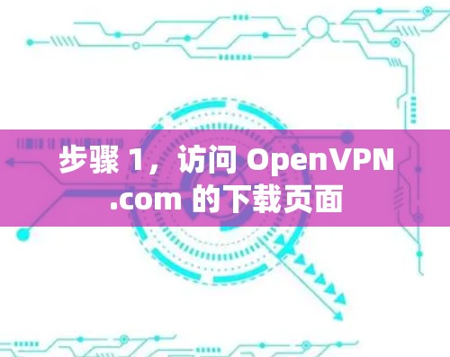 步骤 1，访问 OpenVPN.com 的下载页面