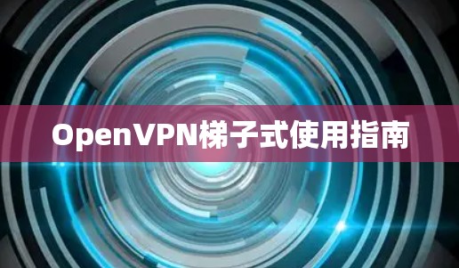 OpenVPN梯子式使用指南 OpenVPN梯子式使用指南