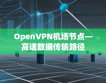 OpenVPN<strong>机场</strong>节点—高速数据传输路径