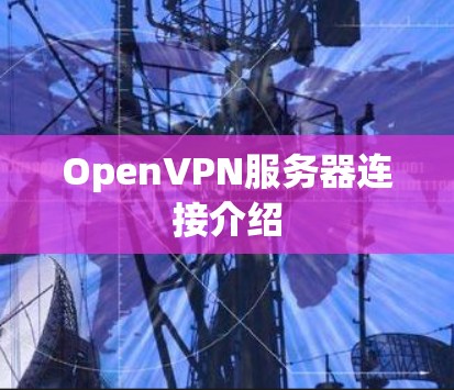 OpenVPN服务器连接介绍