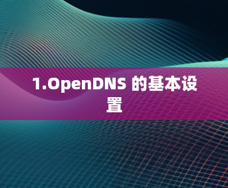 1.OpenDNS 的基本设置 1.OpenDNS 的基本设置