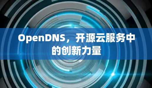 OpenDNS，开源云服务中的创新力量