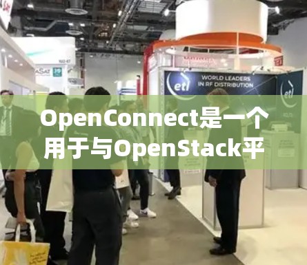 OpenConnect是一个用于与OpenStack平台集成的工具，支持管理容器、数据和应用的配置。以下是OpenConnect的常用配置文件及其使用说明