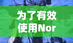 为了有效使用Norton VPN翻墙软件,以下是一个详细的步骤指南,帮助您顺利完成翻墙过程 为了有效使用Norton VPN翻墙软件,以下是一个详细的步骤指南,帮助您顺利完成翻墙过程