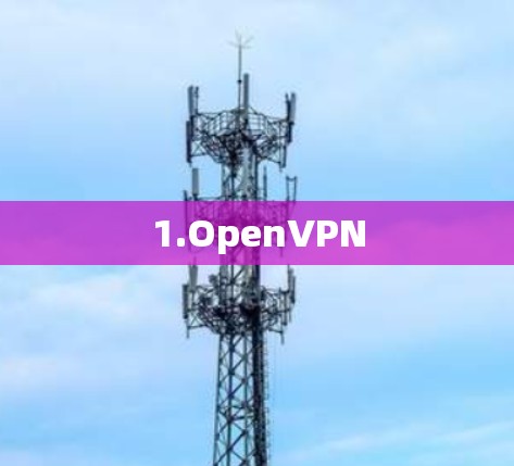 1.OpenVPN