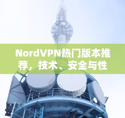 NordVPN热门版本推荐，技术、安全与性能全保障