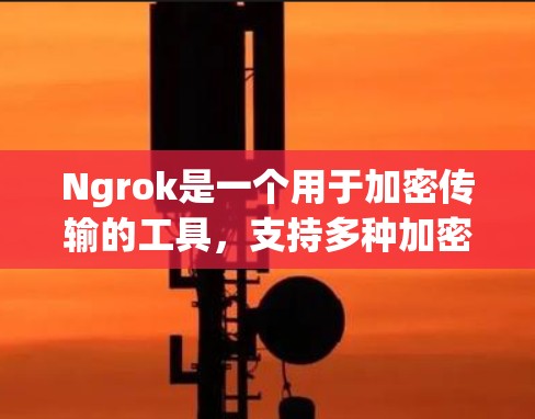 Ngrok是一个用于加密传输的工具,支持多种加密算法,提供多因素认证,帮助用户在网络通信中保护数据安全。以下是Ngrok的使用方法的详细步骤 Ngrok是一个用于加密传输的工具,支持多种加密算法,提供多因素认证,帮助用户在网络通信中保护数据安全。以下是Ngrok的使用方法的详细步骤
