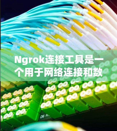 Ngrok连接工具是一个用于网络连接和数据传输的工具，广泛应用于视频会议、视频通话以及加密通信等领域。以下是对Ngrok连接工具的详细步骤说明