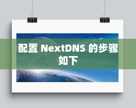 配置 NextDNS 的步骤如下