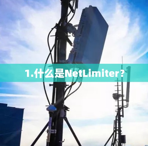 1.什么是NetLimiter？