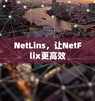 NetLins，让NetFlix更高效