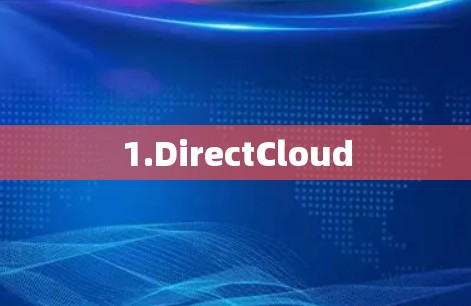 1.DirectCloud 1.DirectCloud