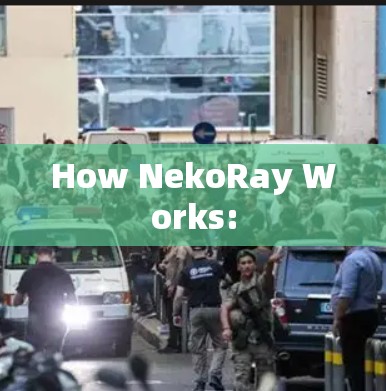 How NekoRay Works: