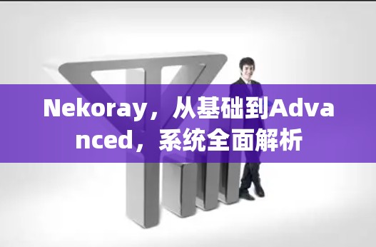 Nekoray，从基础到Advanced，系统全面解析