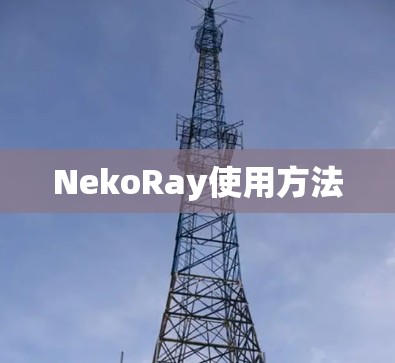 NekoRay使用方法