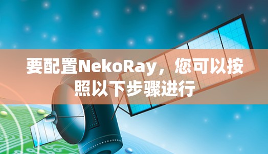 要配置NekoRay，您可以按照以下步骤进行