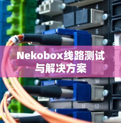 Nekobox线路测试与解决方案
