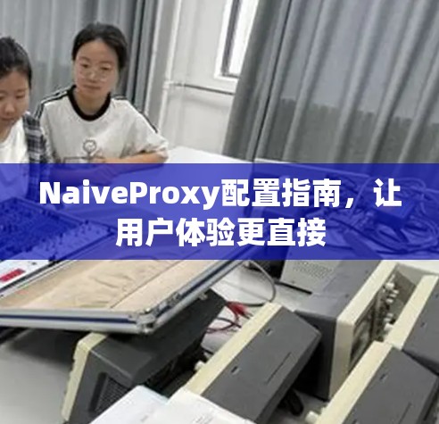 NaiveProxy配置指南，让用户体验更直接