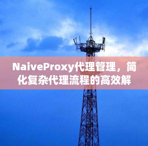 NaiveProxy代理管理，简化复杂代理流程的高效解决方案