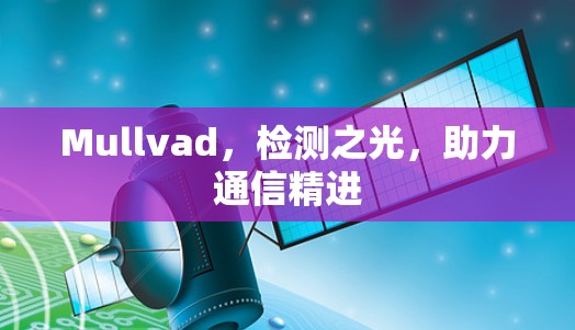 Mullvad,检测之光,助力通信精进 Mullvad,检测之光,助力通信精进